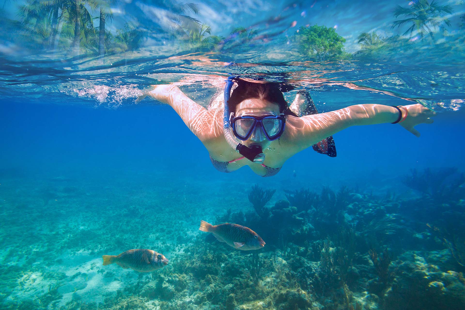 A woman snorkeling near a school of fish